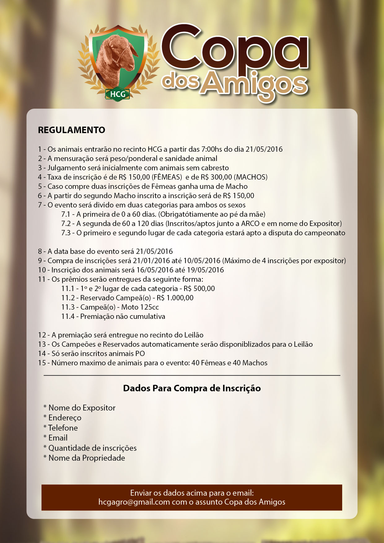 REGULAMENTO_COPA_DOS_AMIGOS-01
